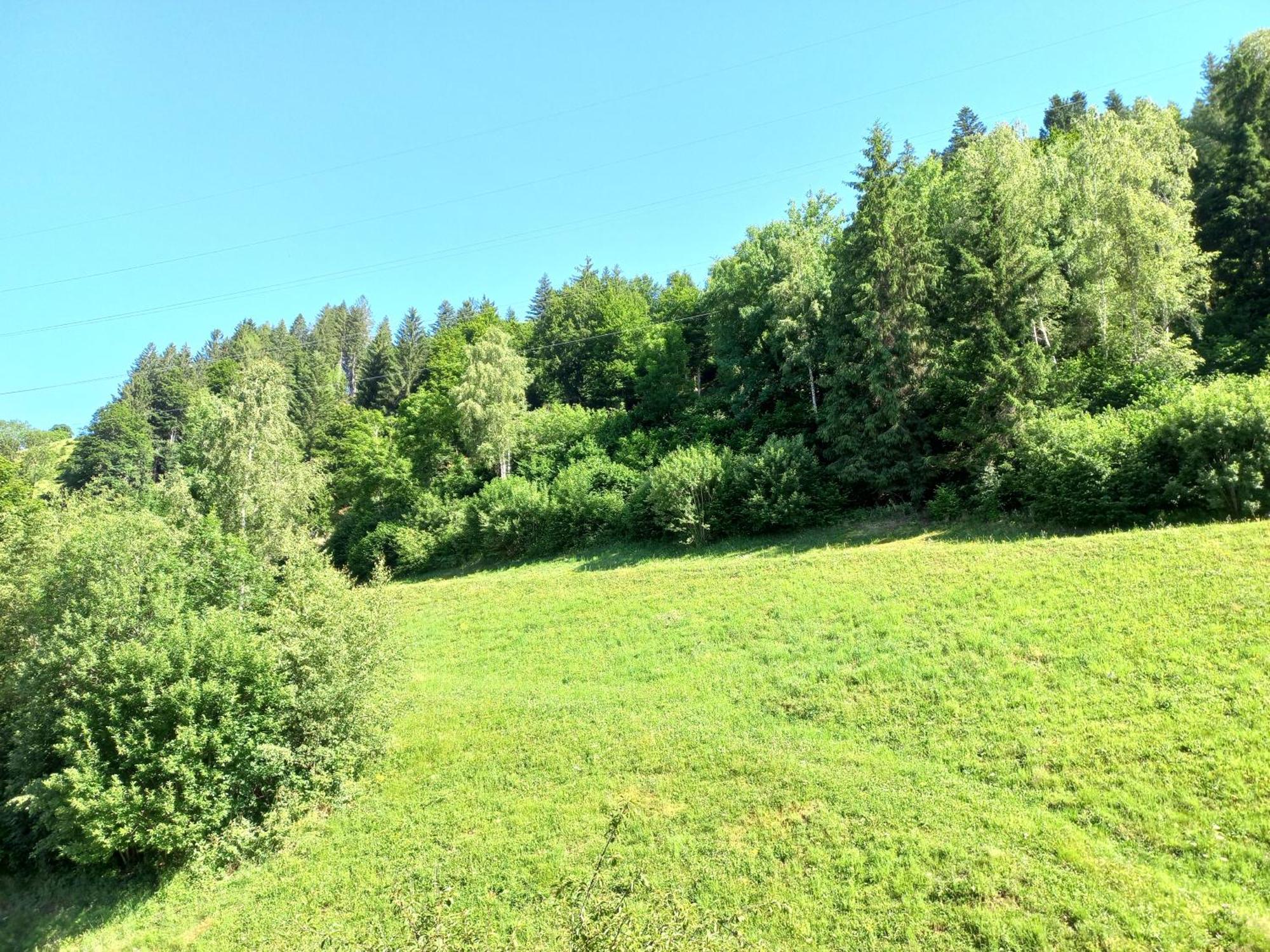 Landhof Kreuzsalgut Apartman Wagrain Kültér fotó